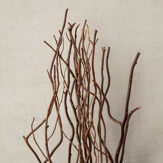 12 Pack: Natural Curly Willow by Ashland®